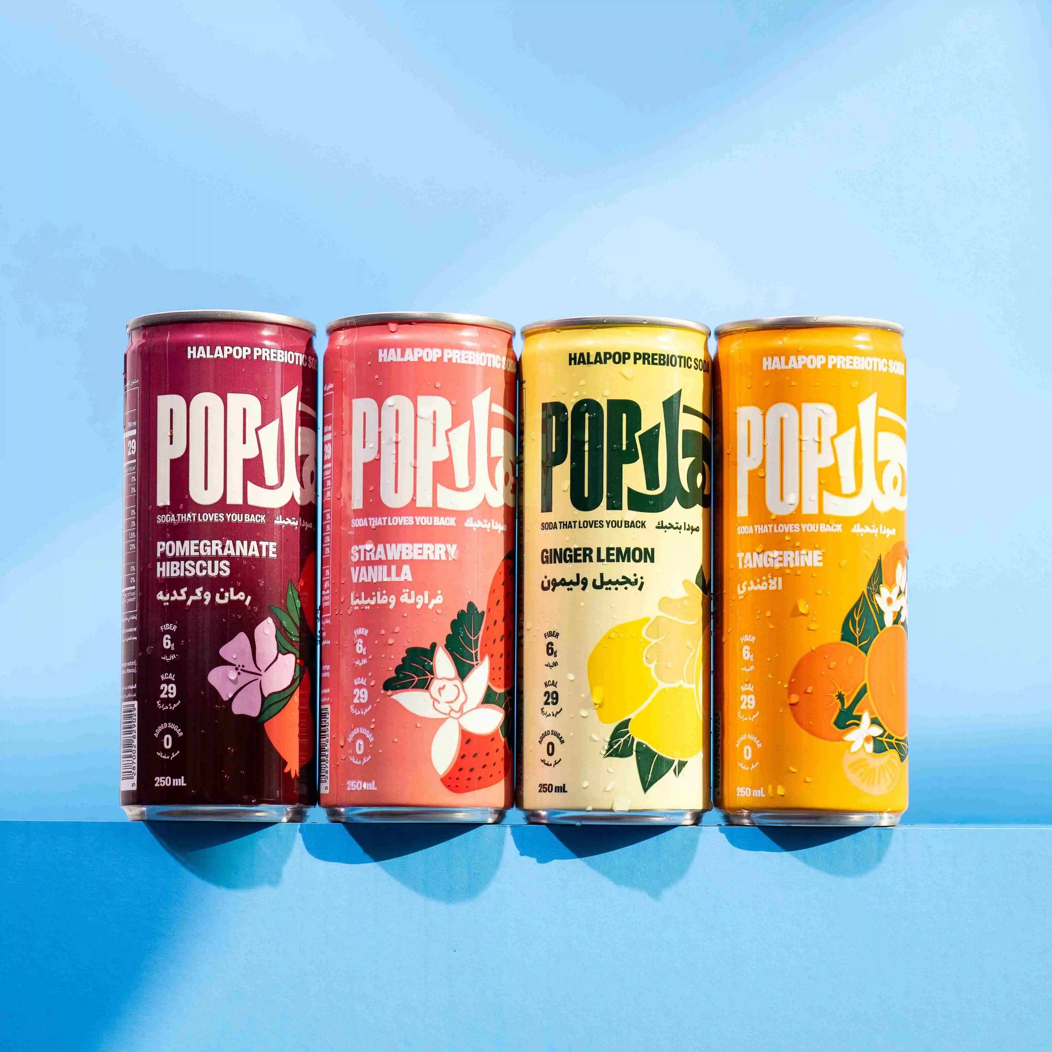 The Variety Pack - Prebiotic soda variety pack